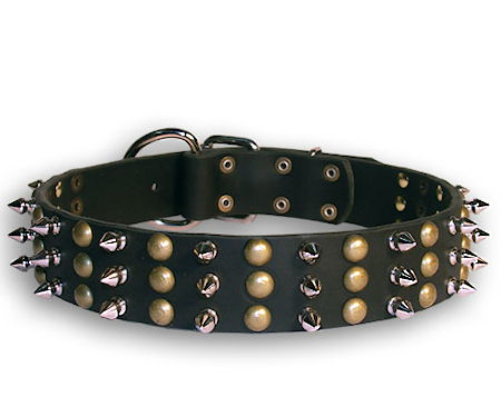 English Bulldog Spiked Black collar 23'' /23 inch dog collar-S59