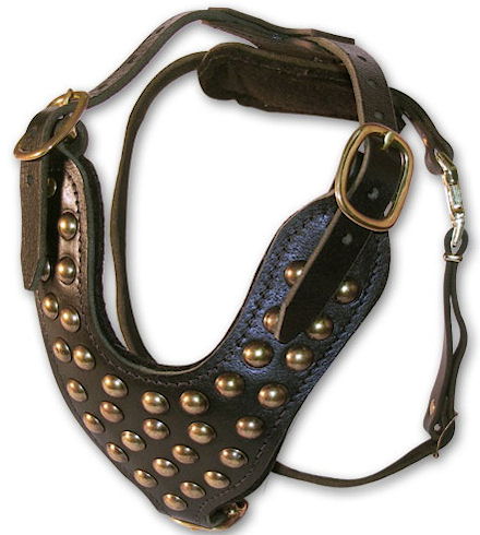 British bulldog padded leather dog harness with studs- studded best dog harness for bulldogs