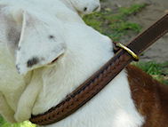 2 Ply Leather Choke Dog Collar for Strong English Bulldog breed 2 Ply Leather Choke Dog Collar for Strong English Bulldog breed