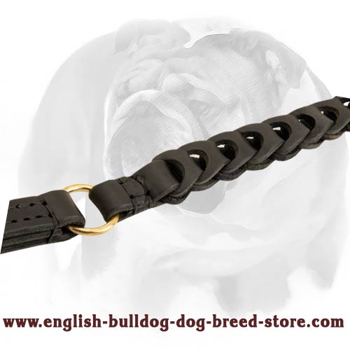 Smart braided dog lead for walking