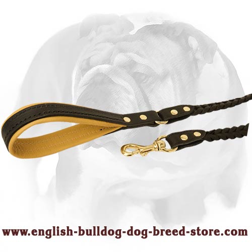 Smart braided dog lead