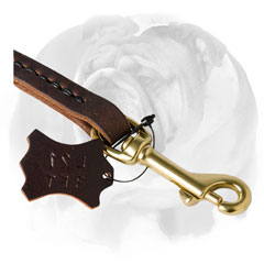 Lead for English Bulldog with brass snap hook 