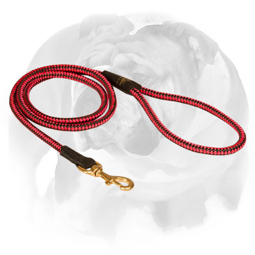 English Bulldog nylon cord leash for walking and training