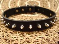 Leather Spiked Dog Collar Leather Spiked Dog Collar