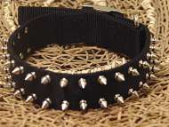 Black Nylon Spiked Dog Collar Black Nylon Spiked Dog Collar