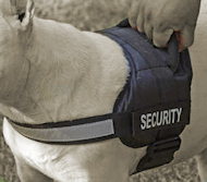 English Bulldog All Weather Reflective dog harness-H6plus