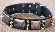English Bulldog Leather Spiked Dog Collar-massive plates+ brass3