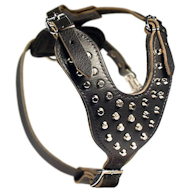 English Bulldog Studded Leather Dog Harness with Pyramids