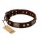 "Magic Amulet" Brown Leather English Bulldog Collar with Skulls and Plates