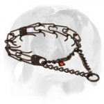 English Bulldog Trendy Black Steel Dog Handler - Herm Sprenger Dog Pinch Prong Collar of Stainless Steel