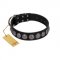 "Black Raven" Handmade FDT Artisan Black Leather English Bulldog Collar with Silver-Like Adornments