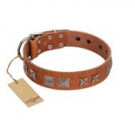 "Antique Figures" FDT Artisan Tan Leather English Bulldog Collar with Silver-like Engraved Plates
