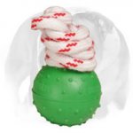 Dotted Rubber Ball for English Bulldog Training and Playing