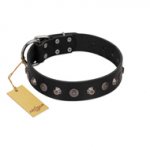 "Black Knight" Handmade FDT Artisan Black Leather English Bulldog Collar with Silver-Like Studs