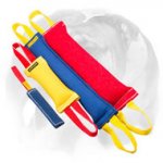 French Linen Training Set for English Bulldog with Bonus