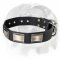 Stylish leather Dog Collar equipped with nickel plates!