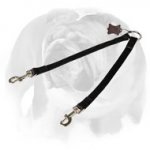 English Bulldog Strong Nylon Coupler Dog Leash