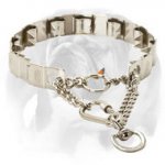 English Bulldog Dog Pinch Prong Collar Made of High-Quality Stainless Steel