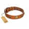 "Knights Templar" FDT Artisan Tan Leather English Bulldog Collar with Skulls and Crossbones Combined with Squares