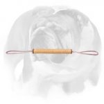 English Bulldog Puppy Rolled Jute Bite Tug for Training and Playing