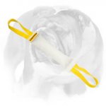 English Bulldog Fire Hose Bite Tug with 2 Handles for Training Young Dogs