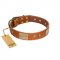 "Ancient Treasures" FDT Artisan Tan Leather English Bulldog Collar with Antiqued Plates and Studs