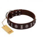 "Spiky Way" FDT Artisan Brown Leather English Bulldog Collar with Silver-Like Decorations