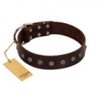 "Graceful Classic" Mod FDT Artisan Brown Leather English Bulldog Collar