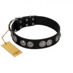 "Magic Amulete" Handcrafted FDT Artisan Black Leather English Bulldog Collar with Chrome-Plated Shields