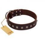 "Kingly Grace" FDT Artisan Brown Leather English Bulldog Collar with Silver-like Dotted Studs