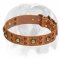 'Space-like' English Bulldog Leather Dog Collar with Brass Decor