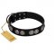 "Magic Amulete" Handcrafted FDT Artisan Black Leather English Bulldog Collar with Chrome-Plated Shields