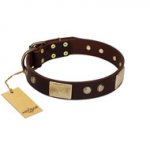 "Middle Age" FDT Artisan Brown Leather English Bulldog Collar with Old Bronze-Plated Engraved Flowers and Large Plates