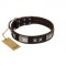 "Satin Beauts" FDT Artisan Brown Leather English Bulldog Collar with Stars and Plates