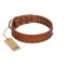 "Star Light" Stylish FDT Artisan Tan Leather English Bulldog Collar with Silver-Like Studs