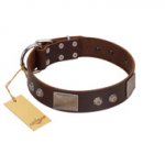 "Stone Stars" Stylish Handmade FDT Artisan Brown Leather English Bulldog Collar