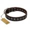 "Stars of Glory" FDT Artisan Brown Leather English Bulldog Collar for Comfortable Walking