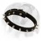 Exclusive Spiked Dog Collar for English Bulldog breed
