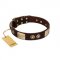 "Sense of Freedom" FDT Artisan Brown Leather English Bulldog Collar with Old Bronze-Plated Studs and Plates