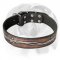 Modern and Trendy leather English Bulldog Collar!