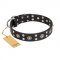 "Refined Essence" FDT Artisan Black Leather English Bulldog Collar with Silvery Studs