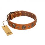 "Rockstar" FDT Artisan Tan Leather English Bulldog Collar with Engraved Studs and Medallions