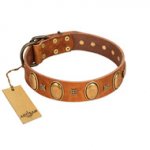 "Glossy Autumn" Designer Handmade FDT Artisan Tan Leather English Bulldog Collar with Ovals and Studs