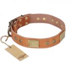 "The Middle Ages" FDT Artisan Handcrafted Tan Leather English Bulldog Collar