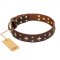 'High Fashion' FDT Artisan Embellished Brown Leather English Bulldog Collar