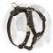 English Bulldog Genuine Leather Dog Harness with Cones for Puppies