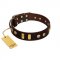 "Lord of Dogs" FDT Artisan Brown Leather English Bulldog Collar with Old Bronze-like Dotted Studs and Tiles