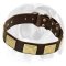 First-class Leather Dog Collar with Stylish decoration