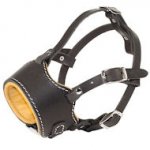 Stop Dog Barking for Bulldog with this special design muzzle