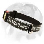 English Bulldog nylon dog collar with stylish practical id patches